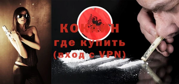 индика Сосновоборск