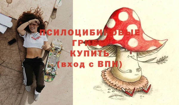 мяу мяу кристалл Богданович