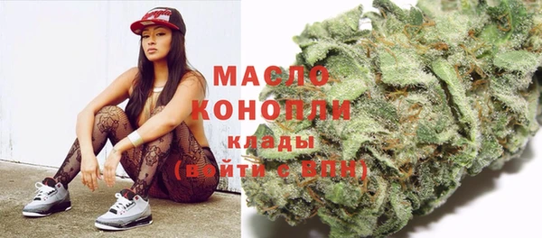 индика Сосновоборск
