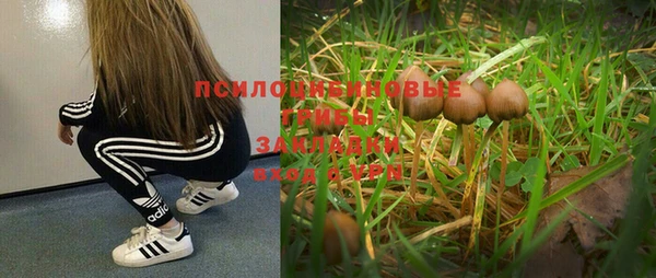 MDMA Богородицк