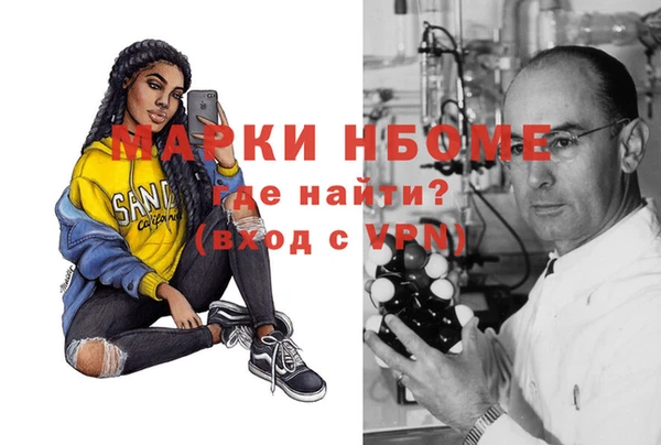 индика Сосновоборск