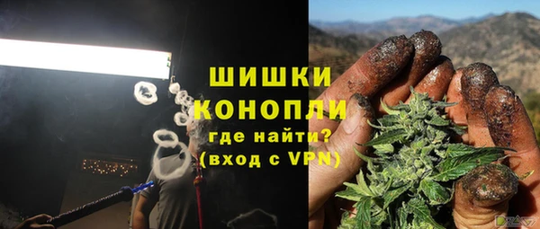 хмурый Сосновка