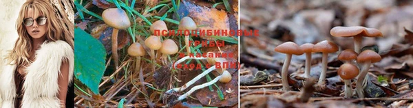 MDMA Богородицк