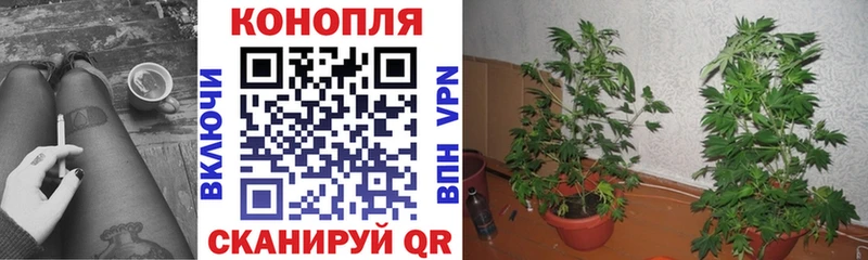 купить наркоту  kraken ТОР  Канабис SATIVA & INDICA  Юрюзань 